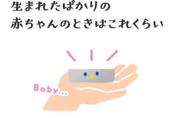 生まれたばかりの赤ちゃんのときはこれくらい